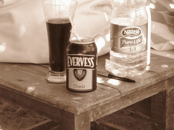 Vakantie Egypte 2010-380.jpg